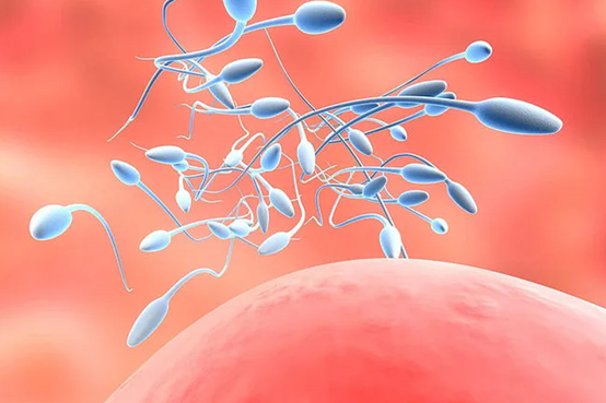 代生宝宝腿关节处骨头突出(代生宝宝腿关节处骨头突出症状)